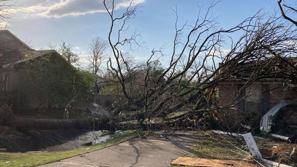 Trees are down after a tornado swept through Little Rock, Ark., Friday, March 31, 2023. (AP Photo/Andrew DeMillo) - Sputnik International