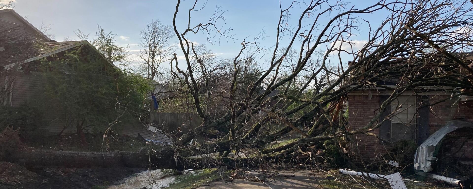 Trees are down after a tornado swept through Little Rock, Ark., Friday, March 31, 2023. (AP Photo/Andrew DeMillo) - Sputnik International, 1920, 01.04.2023