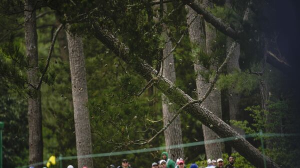 Patrons move away from trees that blew over on the 17th hole during the second round of the Masters golf tournament at Augusta National Golf Club on Friday, April 7, 2023, in Augusta, Ga. - Sputnik International