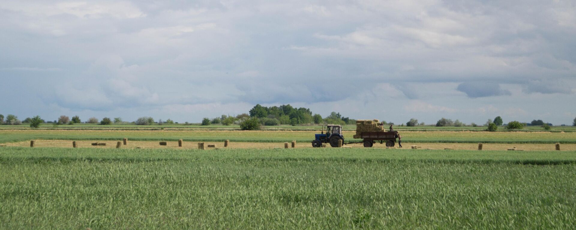 Farmers work on a field in Kherson region. - Sputnik International, 1920, 23.05.2025