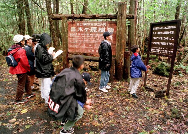 Aokigahara Forest. Located at the base of Mount Fuji, this forest has long enjoyed a mystic reputation.  - Sputnik International