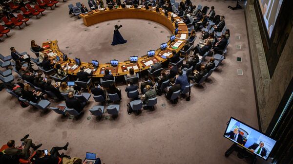 A general view shows a United Nations Security Council meeting. File photo - Sputnik International