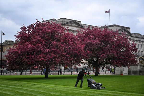 A worker uses a lawn mower to cut the grass of a garden in front of Buckingham Palace, central London. - Sputnik International