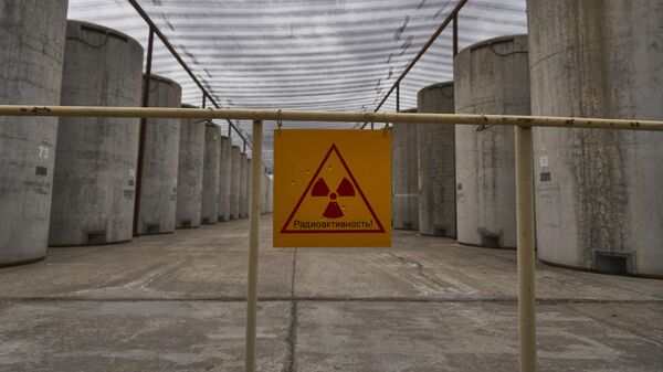 A view of a spent nuclear fuel storage grounds at the Zaporozhye nuclear power plant - Sputnik International