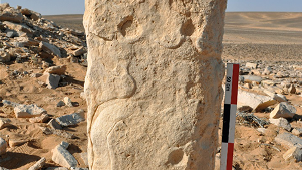 Photograph of the engraved stone at the time of discovery at the JKSH F15 site (the monolith was found lying down and was set vertically for the photograph). - Sputnik International