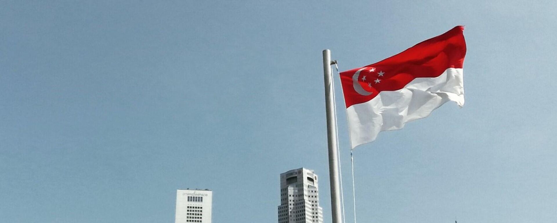 The flag of Singapore against the city skyline - Sputnik International, 1920, 14.08.2023