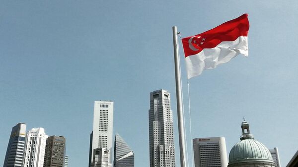 The flag of Singapore against the city skyline - Sputnik International