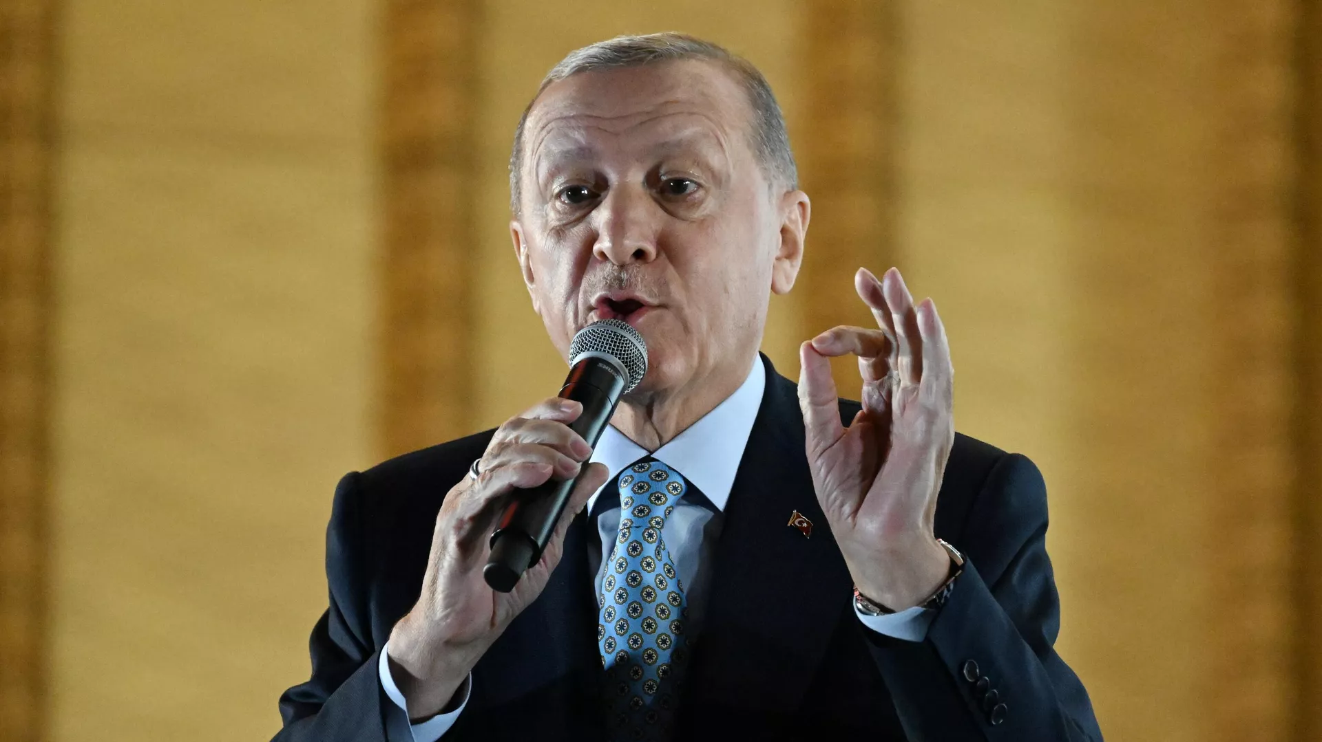 Recep Tayyip Erdogan - Sputnik International, 1920, 01.11.2024