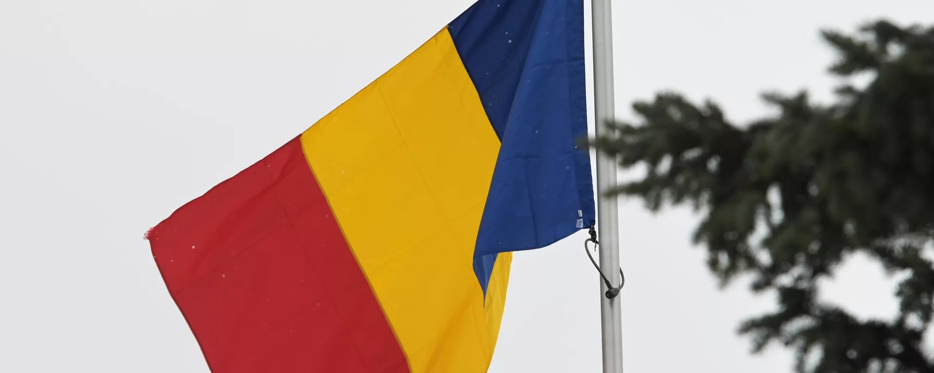 The Romania's flag - Sputnik International, 1920, 06.12.2024