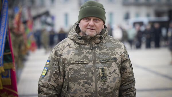 Commander-in-Chief of Ukraine's Armed Forces Valery Zaluzhny. File photo - Sputnik International