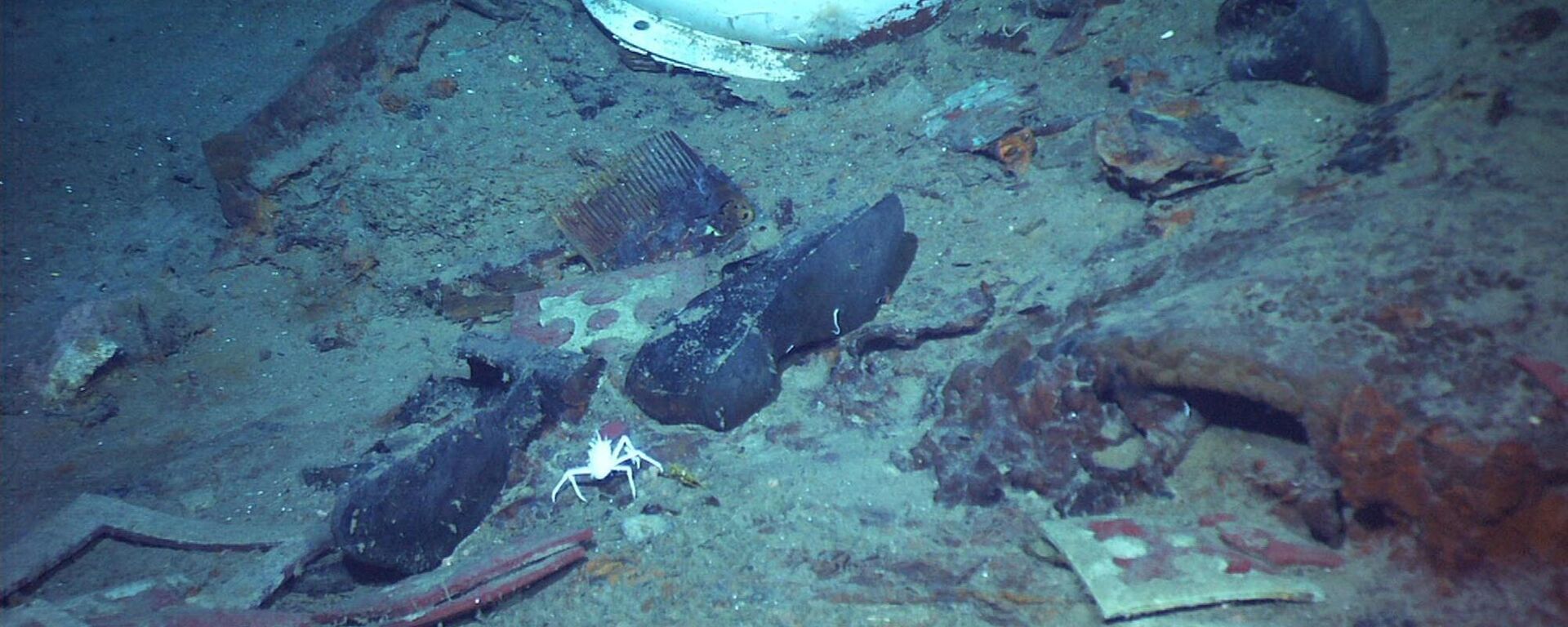 This 2004 image provided by the University of Rhode Island's Institute for Exploration and Center for Archaeological Oceanography and the National Oceanic and Atmospheric Administration's Office of Ocean Exploration shows the shoes of one of the possible victims of the Titanic disaster. - Sputnik International, 1920, 19.06.2023
