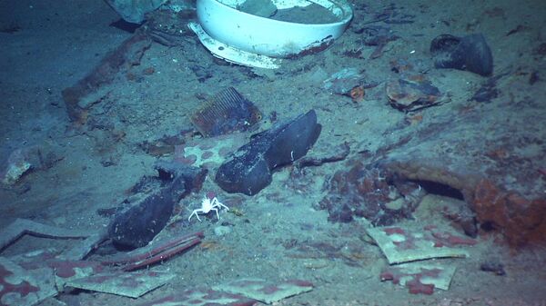 This 2004 image provided by the University of Rhode Island's Institute for Exploration and Center for Archaeological Oceanography and the National Oceanic and Atmospheric Administration's Office of Ocean Exploration shows the shoes of one of the possible victims of the Titanic disaster. - Sputnik International