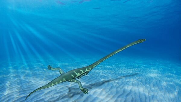 Reconstruction of Tanystropheus swimming in shallow sea - Sputnik International