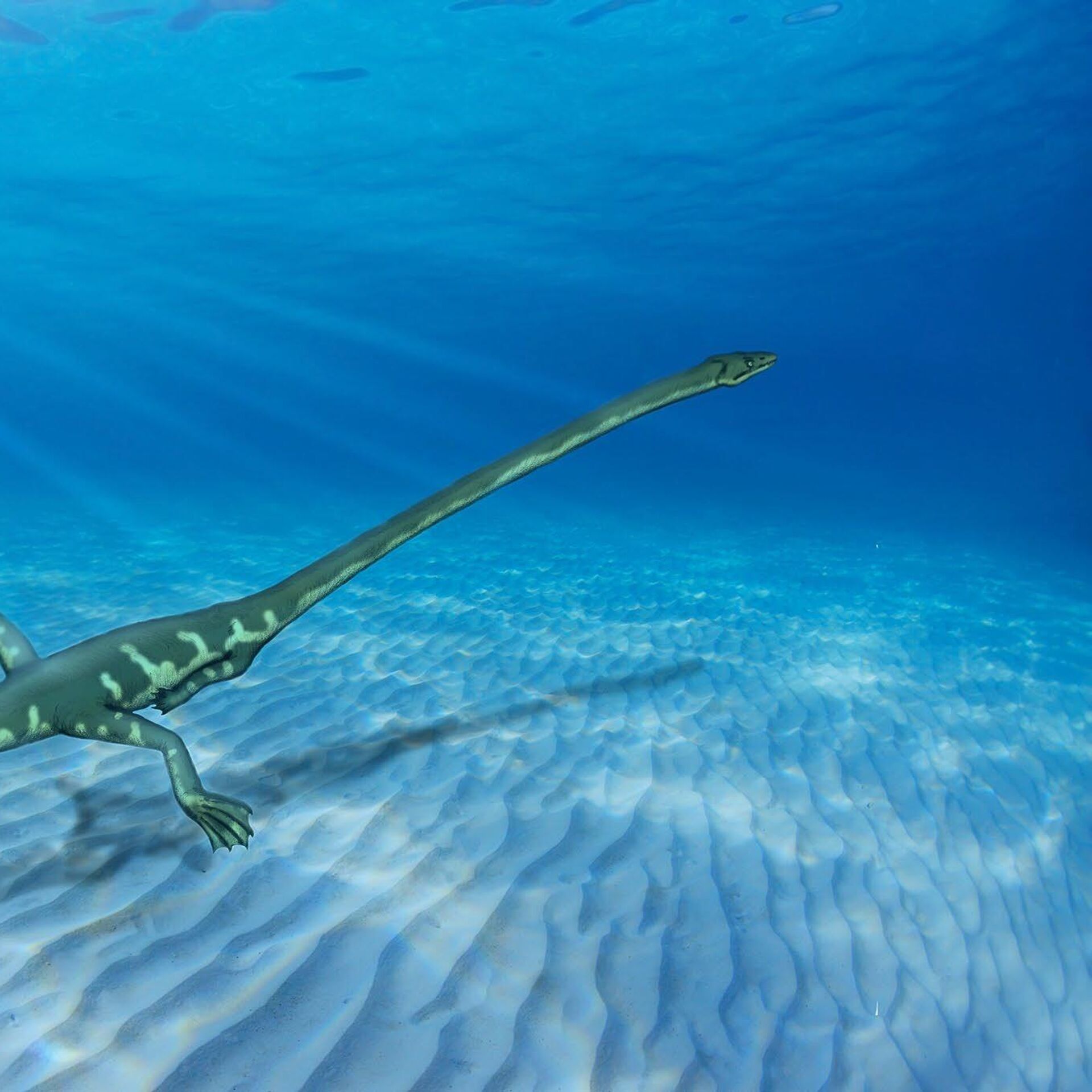 Paleontologists Find Long-Necked Marine Predator Decapitated by Single Bite