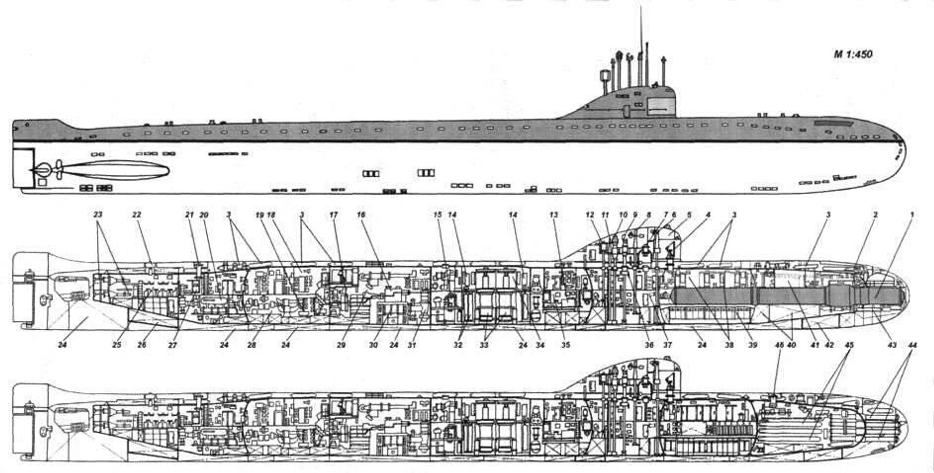 Cross-section of a Project 627 nuclear submarine. - Sputnik International, 1920, 23.06.2023