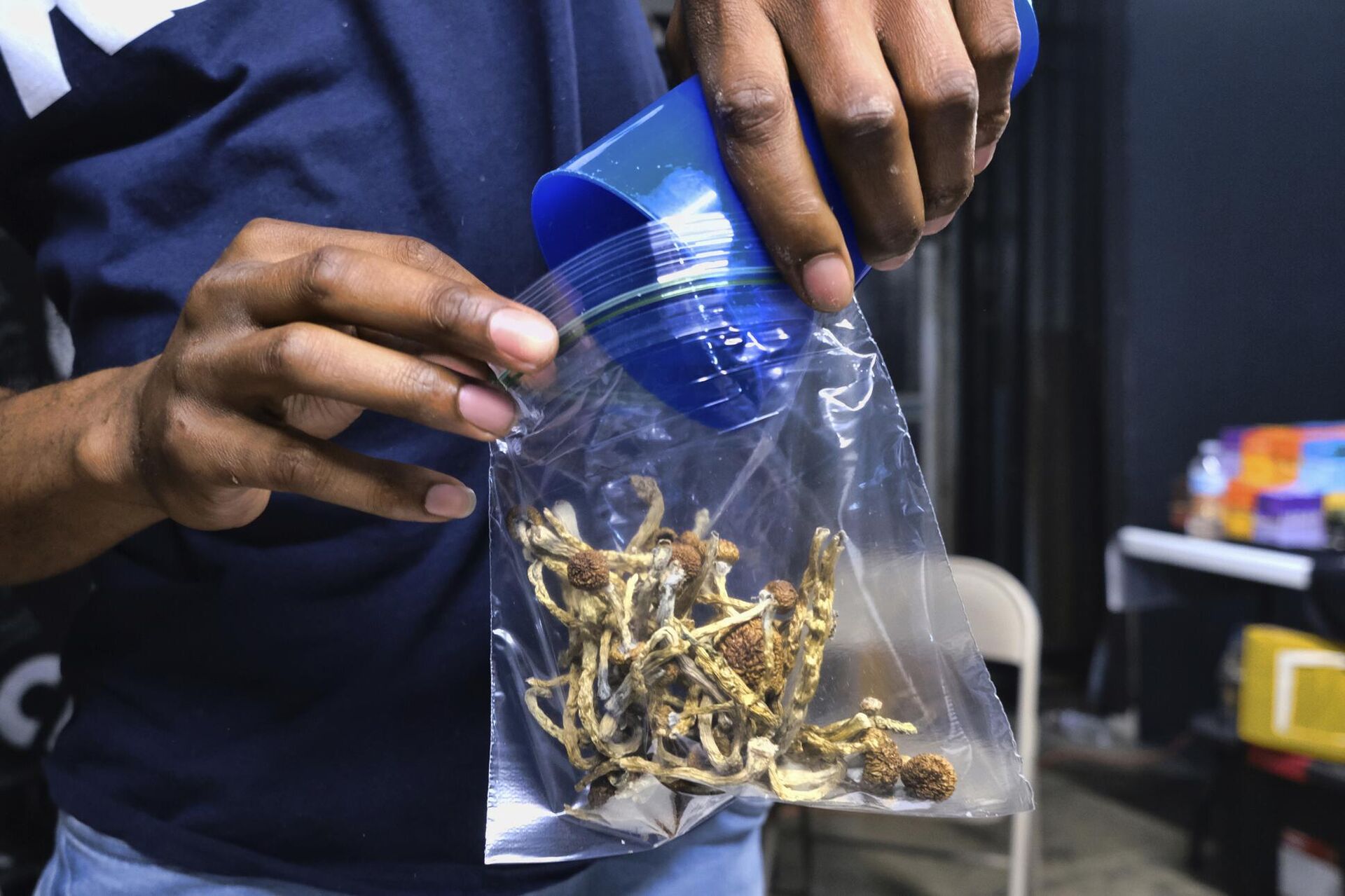  A vendor bags psilocybin mushrooms at a cannabis marketplace on May 24, 2019, in Los Angeles. - Sputnik International, 1920, 02.07.2023