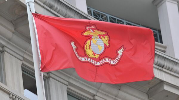 Flag of the United States Marine Corps (USMC) - Sputnik International