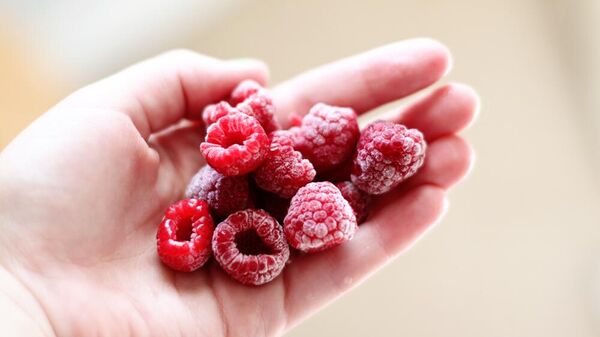 Frozen raspberries - Sputnik International