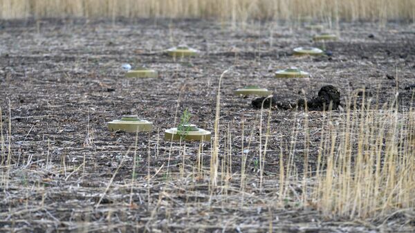 Anti-tank mines TM-62M are seen on a field located near Artemovsk. File photo - Sputnik International