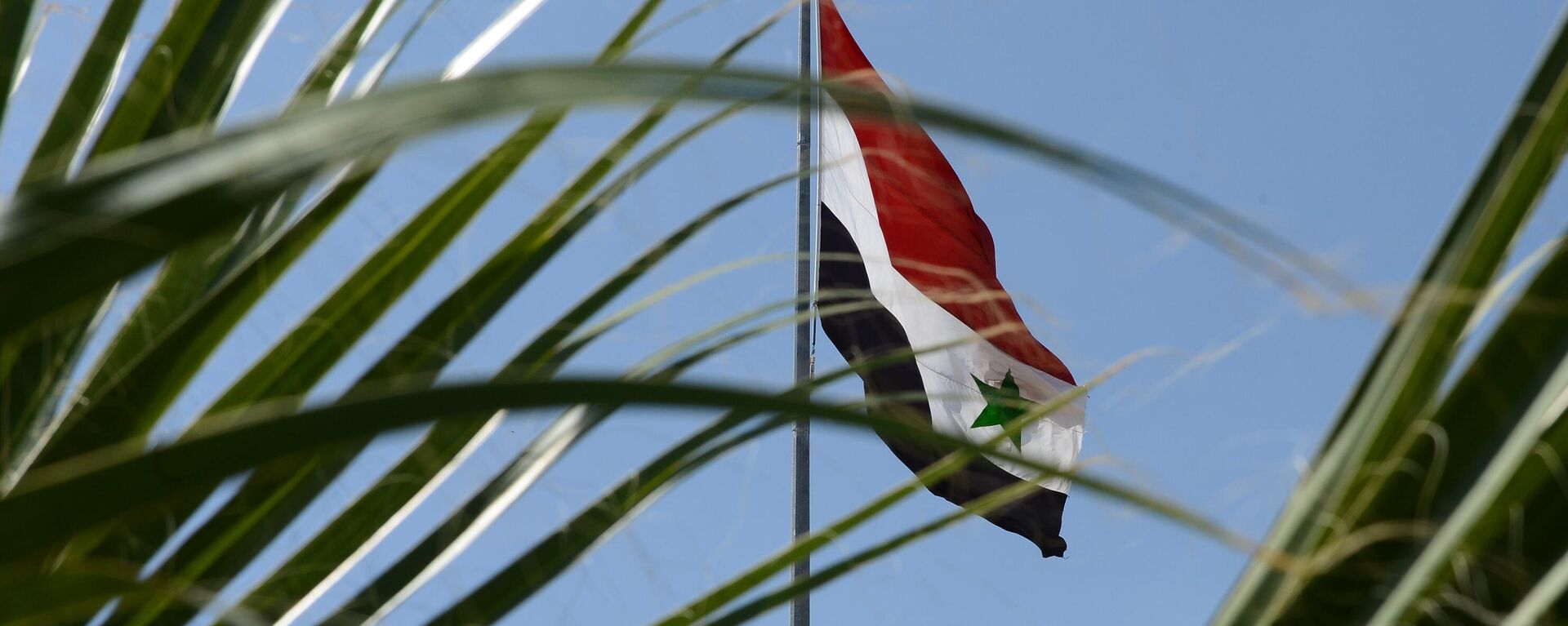 Syrian Flag in Damascus - Sputnik International, 1920, 08.12.2024