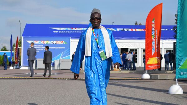 Forum participant at the Expoforum Convention and Exhibition Centre, Russia-Africa Summit 2023 - Sputnik International
