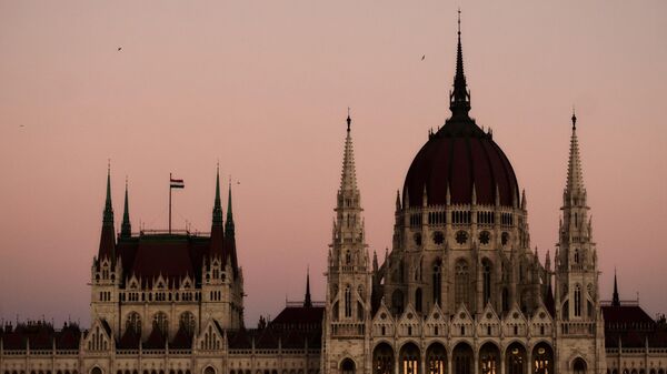 Birds fly over the Hungarian Parliament Building in Budapest, Hungary - Sputnik International
