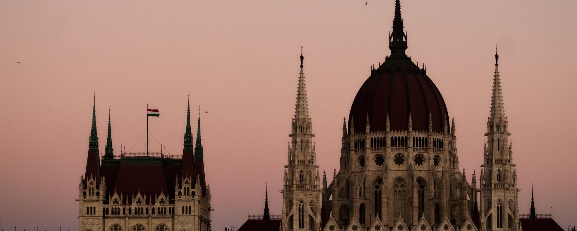Birds fly over the Hungarian Parliament Building in Budapest, Hungary - Sputnik International, 1920, 22.01.2024