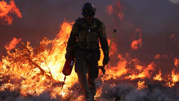 The York Fire burns in the Mojave National Preserve on July 30, 2023 - Sputnik International