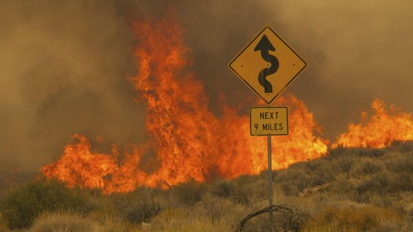 Огонь в Национальным заповеднике Мохаве в результате природных пожаров в Калифорнии  - Sputnik International