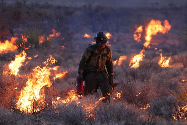 A fire crew member tries to extinguish blazes of the York Fire in the Mojave National Preserve on July 30, 2023. - Sputnik International