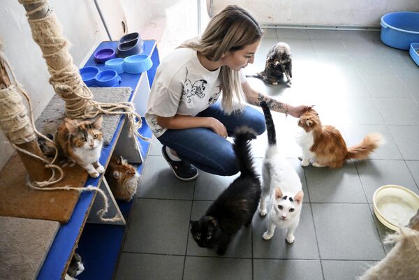 An employee of the &quot;Pif&quot; homeless animal shelter with her pets at the shelter in Donetsk. - Sputnik International