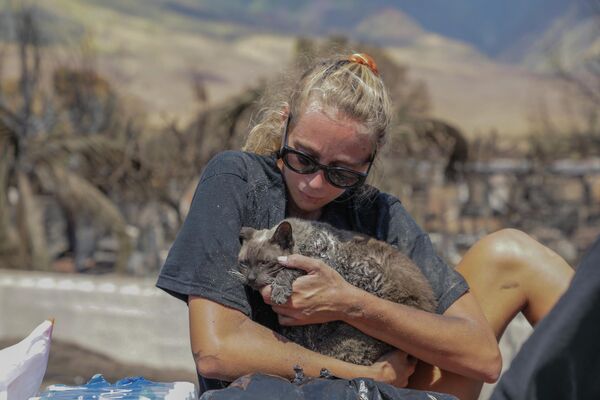A woman cradles her cat after finding him in the aftermath of a wildfire in Lahaina. - Sputnik International