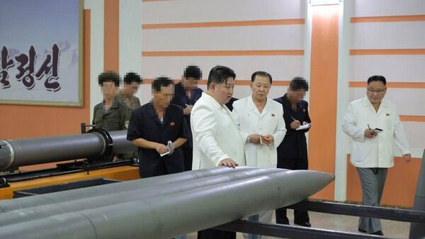 North Korean leader Kim Jong-un has inspected the work of military factories, including the production of tactical missiles and guided missiles for MLRS - Sputnik International