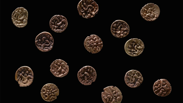 The collection of gold coins discovered by metal detectorists in Wales. - Sputnik International