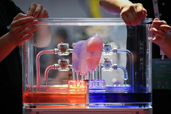 An artificial heart is pictured at the 2023 World Robot Conference. - Sputnik International