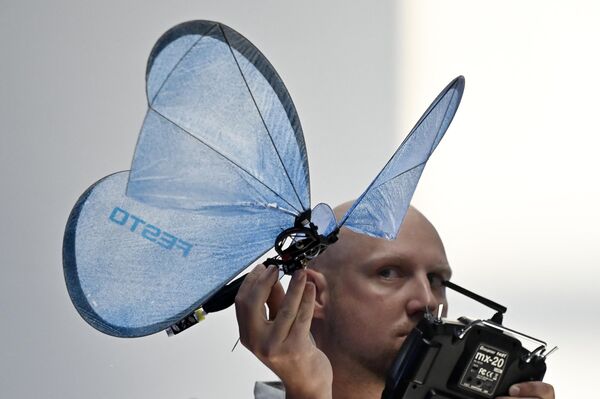 A robot design resembling a butterfly. - Sputnik International