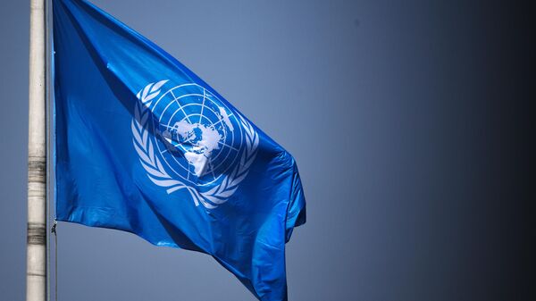 UN Flag in the Hague - Sputnik International