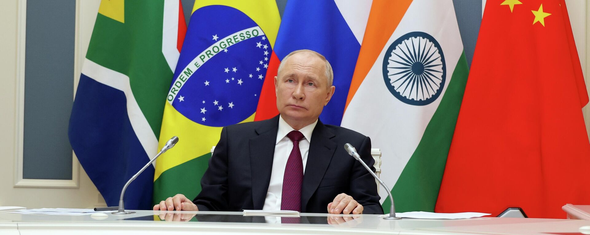 Russian President Vladimir Putin addresses the audience of the 15th BRICS summit - Sputnik International, 1920, 29.02.2024