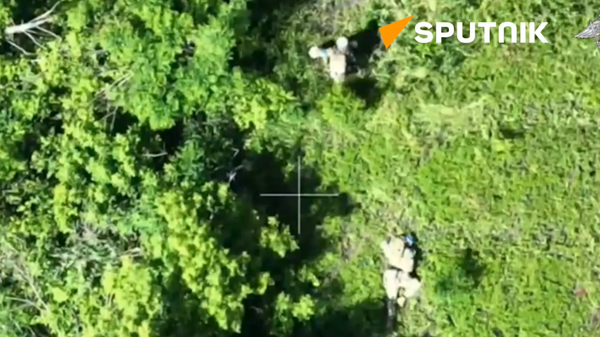 Russian UAVs spot and eliminate Ukrainian servicemen hiding in dense bushes - Sputnik International