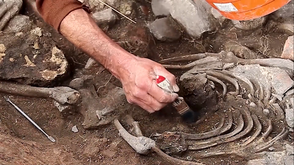 Screenshot from a video depicting the archeological discovery of a 3,000-year-old tomb in Peru. - Sputnik International