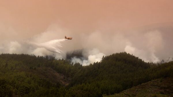 A Canadair aircraft flies over the area of Pico Cho Marcial in Arafo to drop water over a huge wildfire raging through forested areas that surround the Mount Teide volcano natural park, on the Canary island of Tenerife, on August 20, 2023. Firefighters made gains in their battle against a vast wildfire on Tenerife today after better-than-expected overnight weather helped them keep the blaze from destroying homes on the Spanish holiday island. The huge fire broke out late on August 15, 2023 in a mountainous northeastern area, quickly morphing into the Canary Islands' biggest-ever. So far the blaze, which has a perimeter of 84 kilometres (52 miles), has burned through 11,600 hectares (28,700 acres), or just over 6% of Tenerife island, forcing more than 12,000 people to flee their homes. - Sputnik International