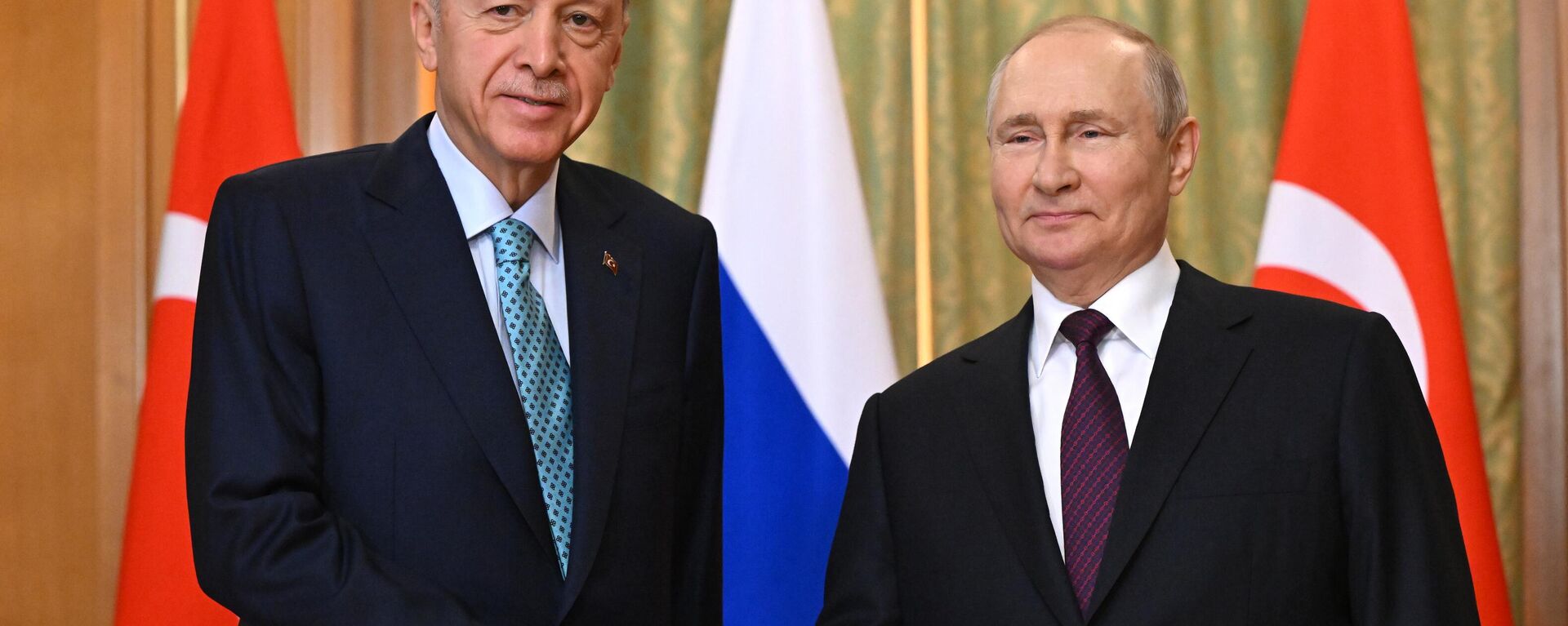  Russian President Vladimir Putin met with Turkish President Recep Tayyip Erdogan in Sochi.  - Sputnik International, 1920, 04.09.2023