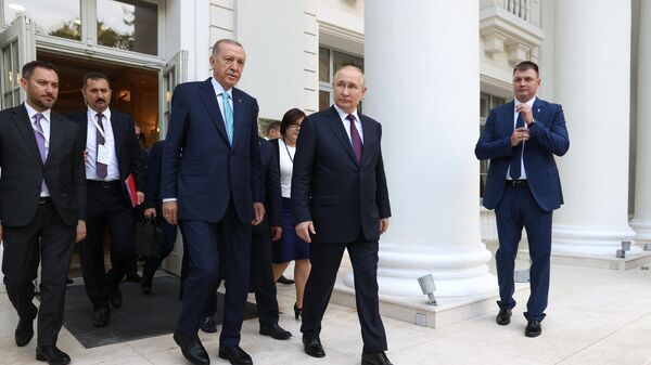 Russian President Vladimir Putin held talks with Turkish President Recep Tayyip Erdogan - Sputnik International