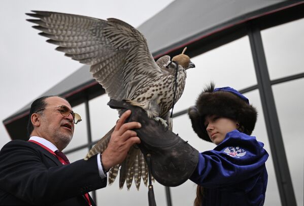 A participant at the House of Falcon pavilion at the Far East Street exhibition at the Eastern Economic Forum in Vladivostok. - Sputnik International