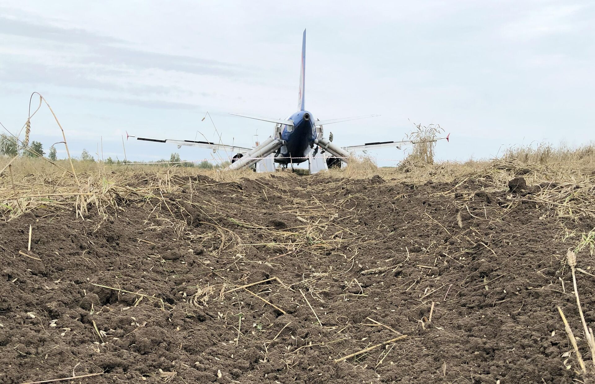 Tracks left by the Ural Airlines Airbus in a local wheat field in Novosibirsk, Siberia after an emergency touchdown. - Sputnik International, 1920, 12.09.2023