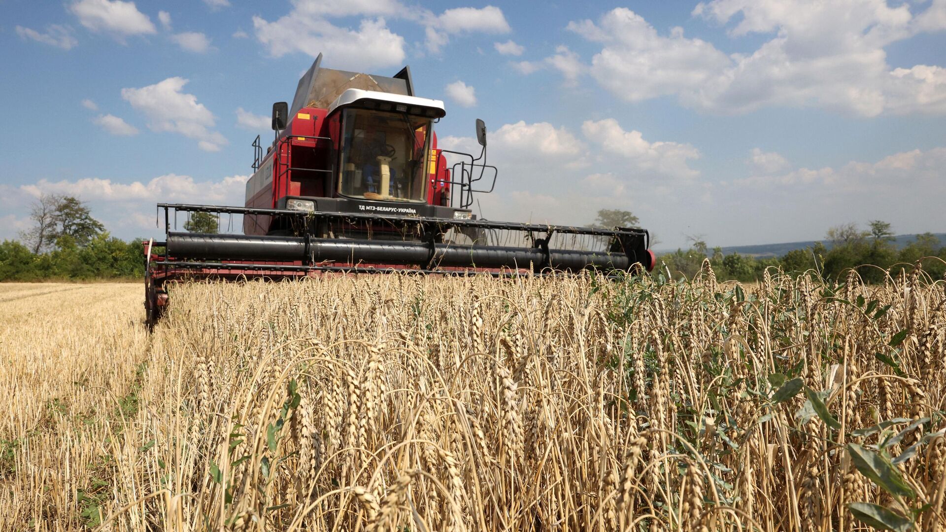 A combine harvests wheat near Kramatorsk, in Donetsk region on August 4, 2023. - Sputnik International, 1920, 15.09.2023