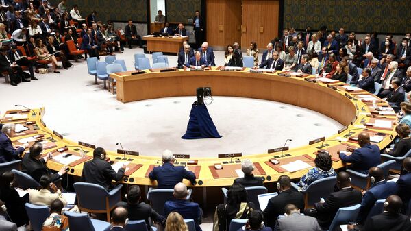 UN Security Council meeting - Sputnik International