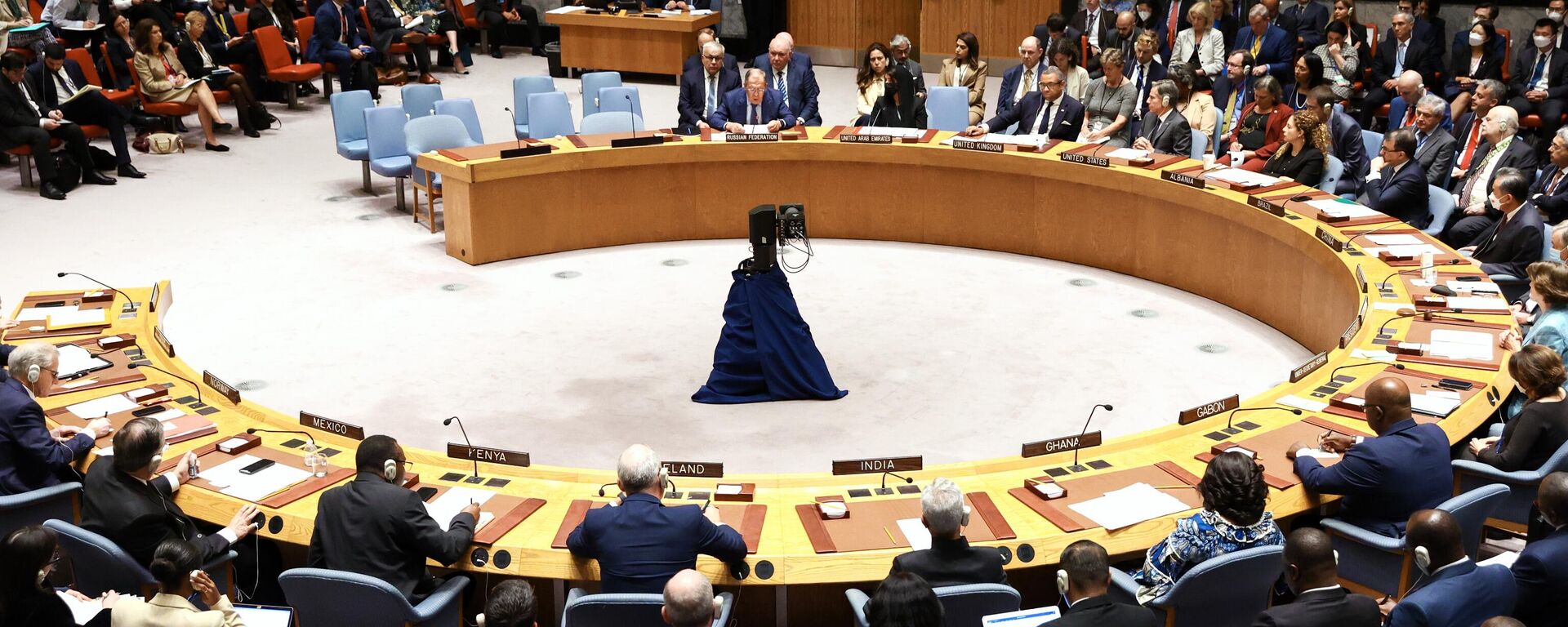 UN Security Council meeting - Sputnik International, 1920, 24.05.2024
