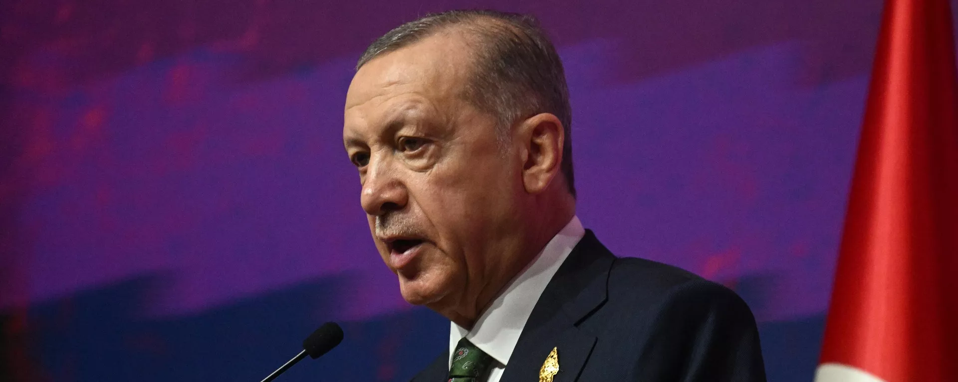 Turkish President Recep Tayyip Erdogan speaks  - Sputnik International, 1920, 21.04.2024