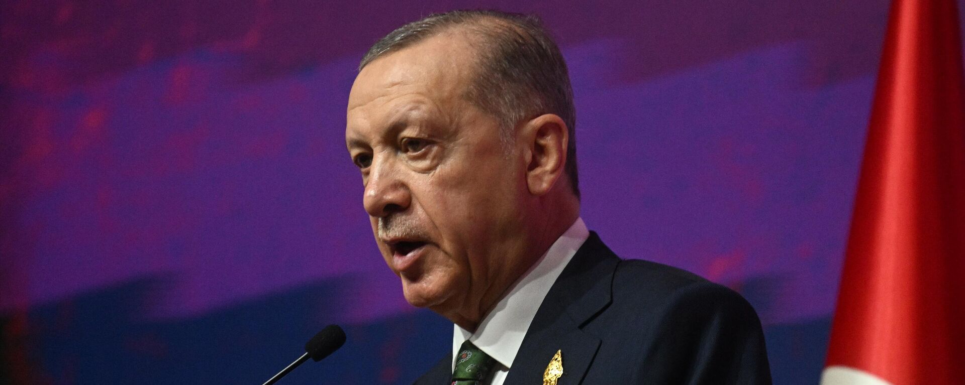 رجب طیب اردوغان رئیس جمهور ترکیه صحبت می کند - اسپوتنیک بین المللی، 1920، 2024/04/21